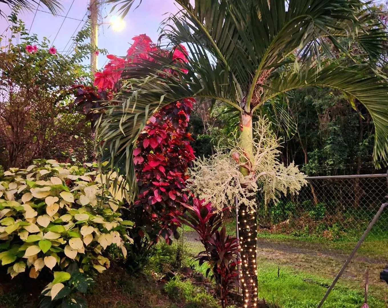 Maison 79 Soufriere Holiday home